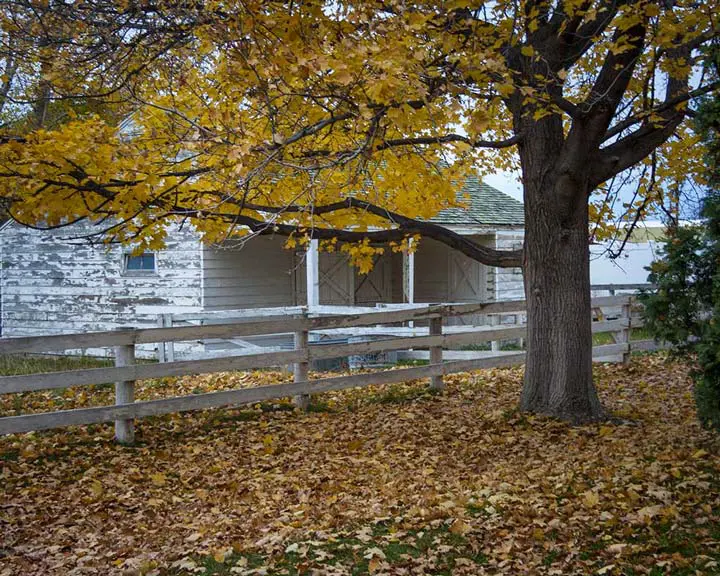 Addison Studio Grounds And Horse Barn