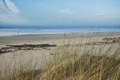 Sand dunes on Heceta Beach near Florence, Oregon during February 2012